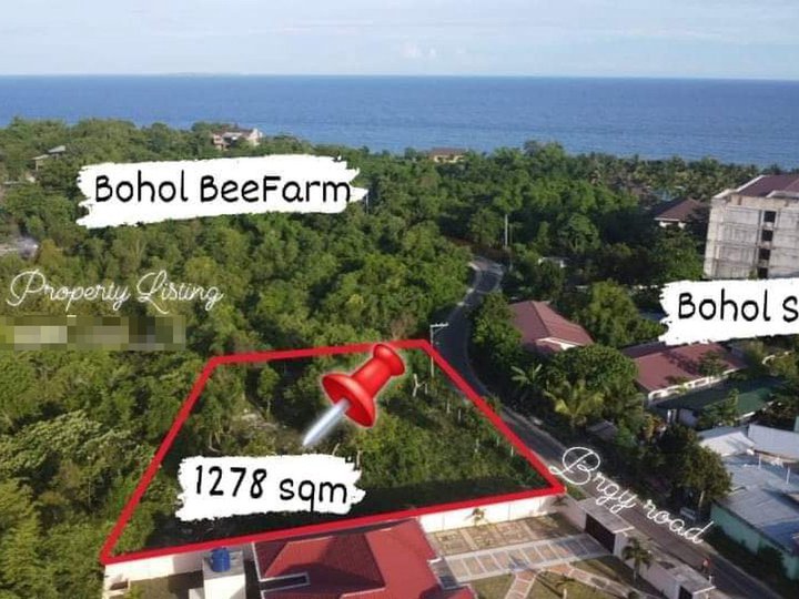 1,278 sqm Residential Lot For Sale in Dauis Bohol