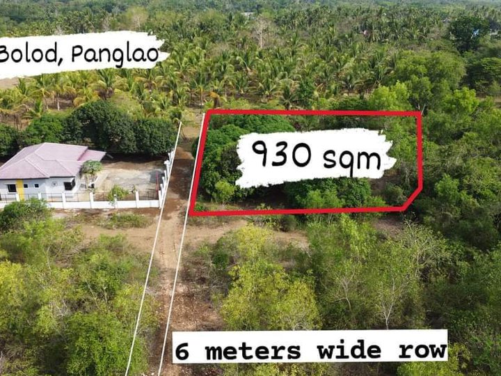 930 sqm Residential Lot For Sale in Panglao Bohol