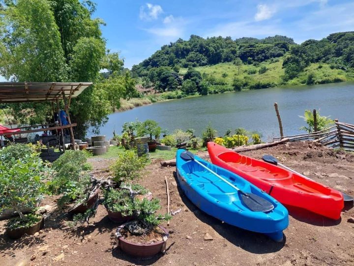 Farmlot with lake with cacao trees and banana trees