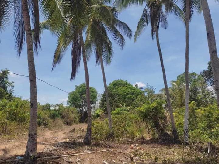 600sqm Residential Farm for Sale in San Lorenzo Guimaras