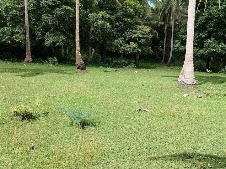 5000 sqm Farm Lot for Sale in Pulong Kamatis, San Juan Batangas