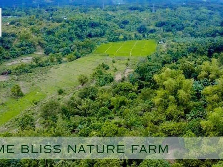 PRIME BLISS FARMLOT FOR SALE