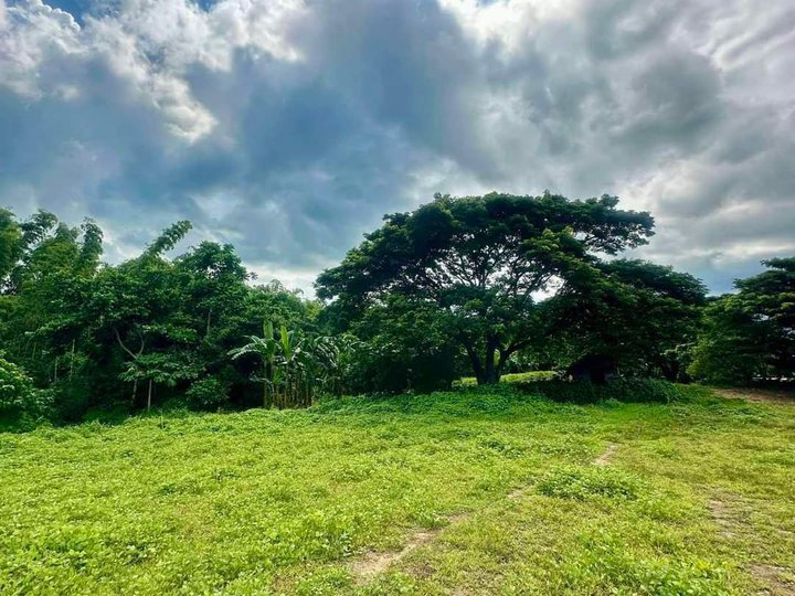 100 sqm Residential Farm For Sale in Taysan Batangas