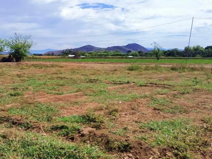 1.4 hectares Agricultural Farm For Sale in Cuyapo Nueva Ecija