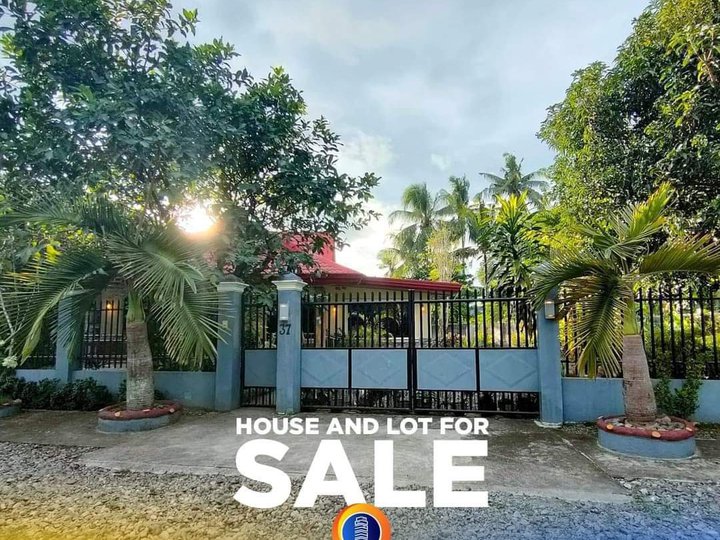 Buy 1 House and Lot 1,184 SQM Plus 299 SQM Vacant Lot Free in Tagum Davao del Norte