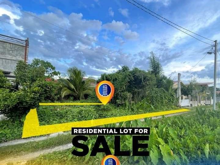 300 sqm Residential Lot For Sale in Tagum Davao del Norte