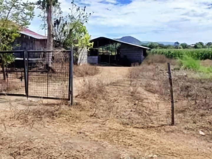 5,000 sqm Residential Farm For Sale in Cuyapo Nueva Ecija