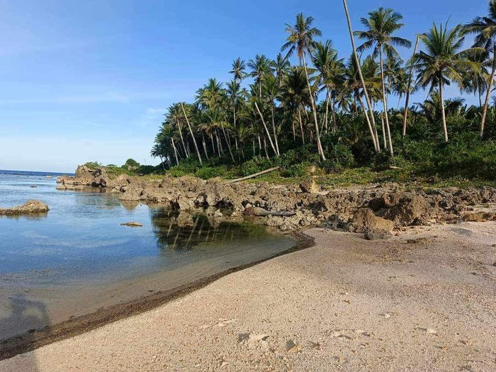 SIARGAO BEACH PROPERTY