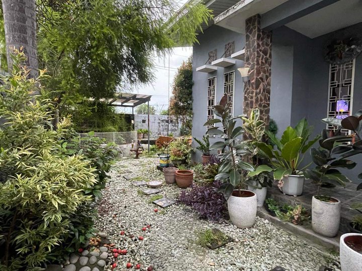 For Rent House and Lot Ideal for Working Space or Staff House in Angeles City Near Clark