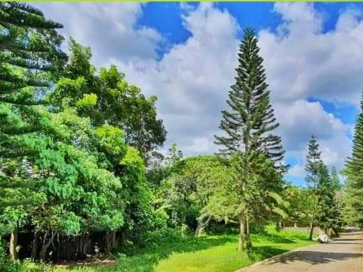 1,466 sqm Residential Lot For Sale in Gabriel Heights Tagaytay Cavite