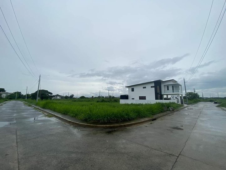 292 sqm Residential Lot For Sale in Mexico Pampanga