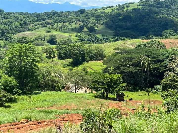 500 sqm Agricultiral Farm Lot for Sale