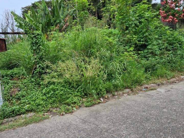 280sqm Residential Lot for sale in Davao City