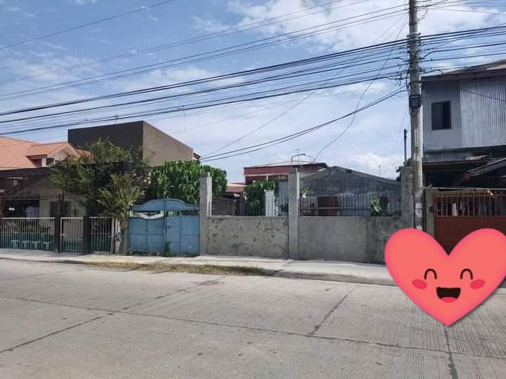 130 sqm commercial lot for sale in Davao City