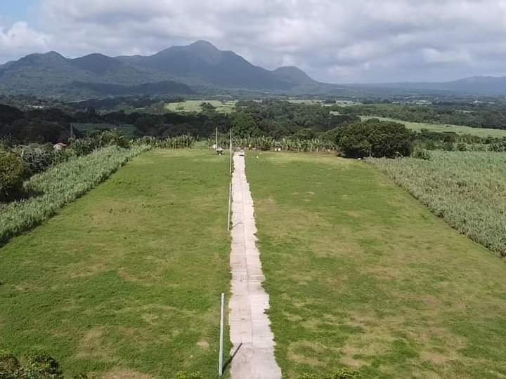 1005  sqm Agricultural Farm For Sale in Nasugbu Batangas