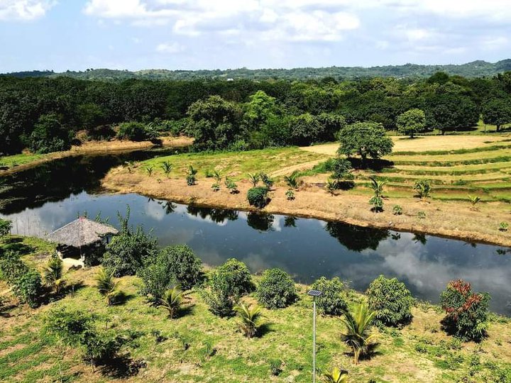 3.5 hectares Stunning Views  Residential Farm with Fishponds  For Sale in Tarlac City