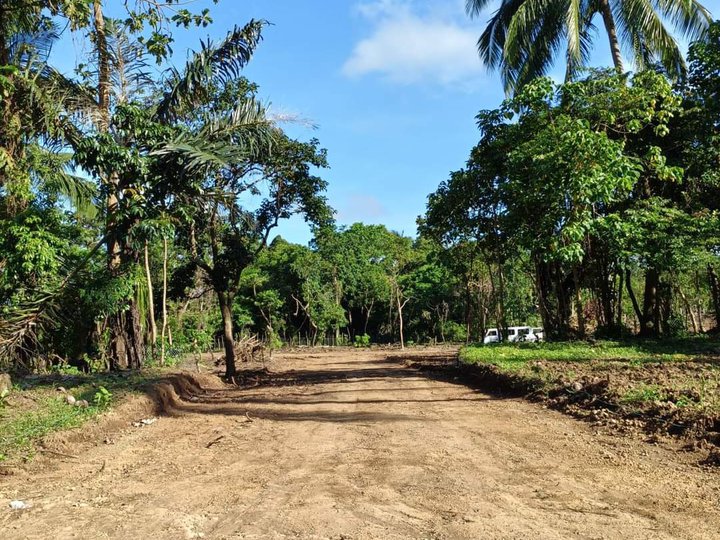 Cheapest Residentual Farm lot for Sale in Alfonso Cavite