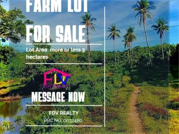 30 sqm Farm Lot For Sale in Caramoan Camarines Sur