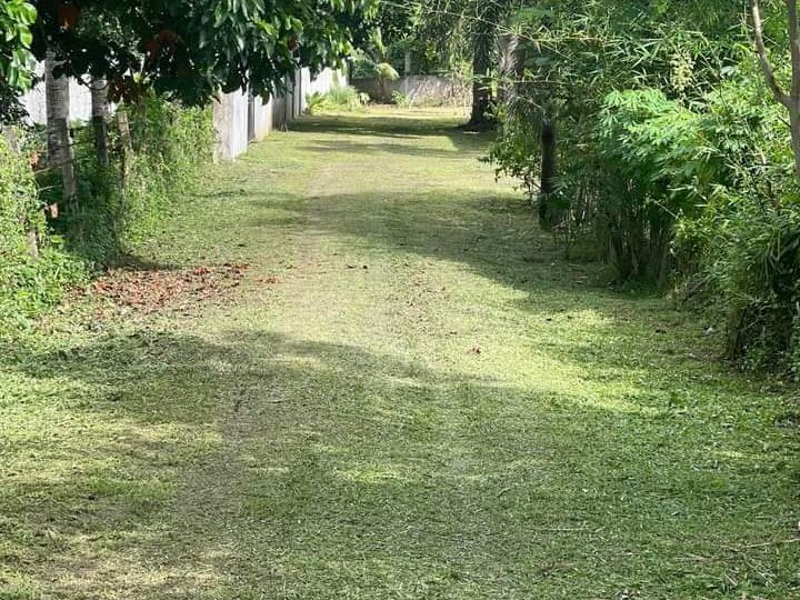 1,242 sqm Residential Farm For Sale in Naga Camarines Sur