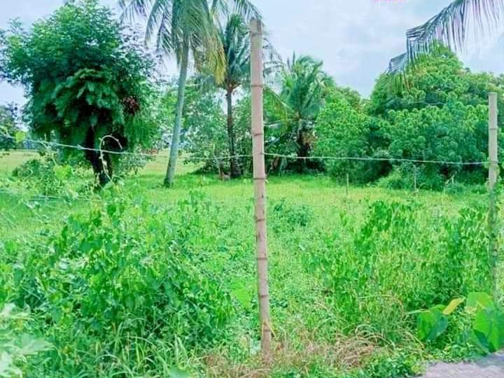 1,235 sqm Residential Lot For Sale in Pili Camarines Sur