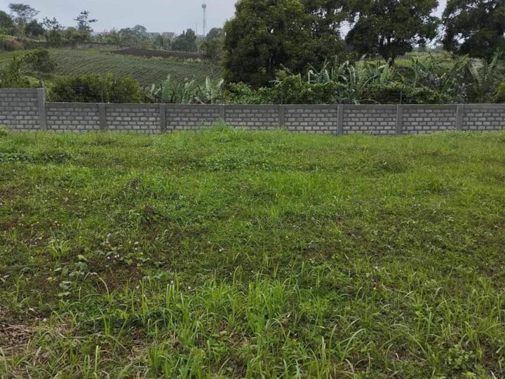 375 sqm Residential Lot For Sale in Altamonte Subd, Tagaytay Cavite