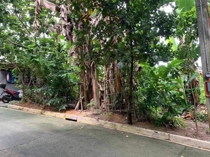 122 sqm Residential Lot For Sale in Antipolo Rizal