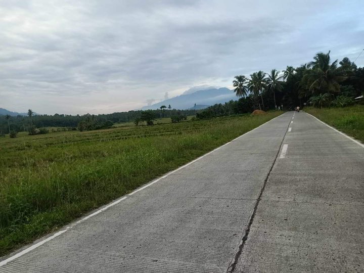 RICE FIELD 10 HECTARES 700K PER HECTARE IN MAGSAYSAY, DAVAO DEL SUR