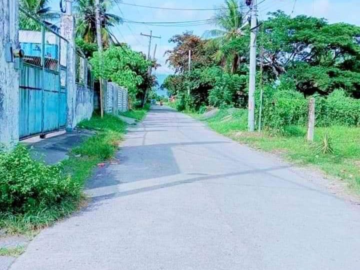 1,235  sqm Residential Lot For Sale in Pili Camarines Sur