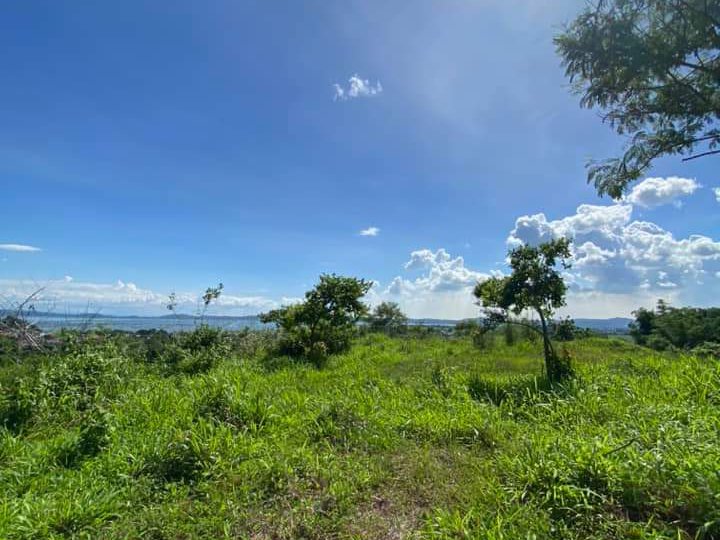 64 sqm Residential Lot For Sale in Pililla Rizal