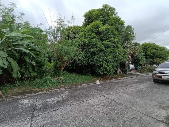 178 sqm Residential Lot For Sale in Imus Cavite