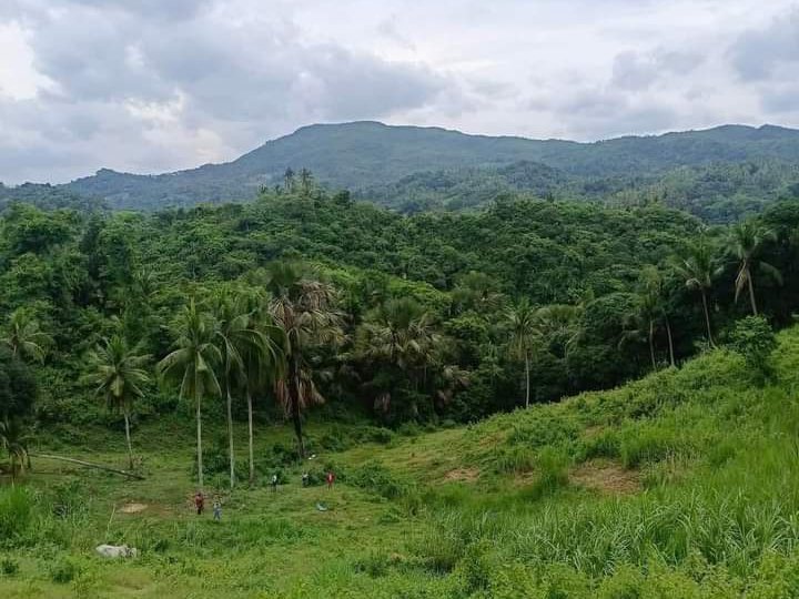 Gamit Dayun Farm Lot in Danao