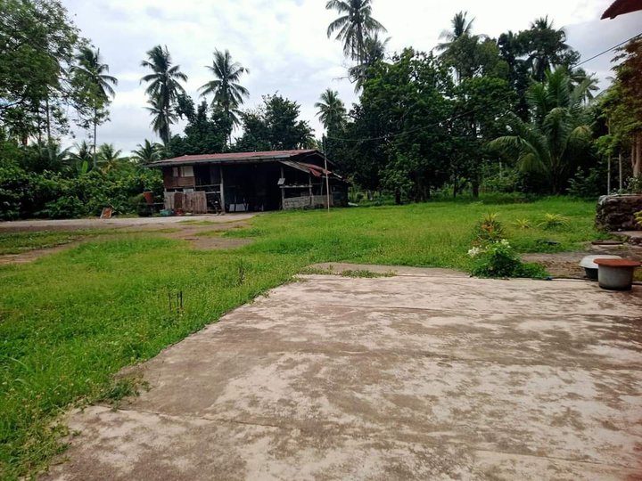 9.6 Hectares Lot for sale in Calinan Davao City