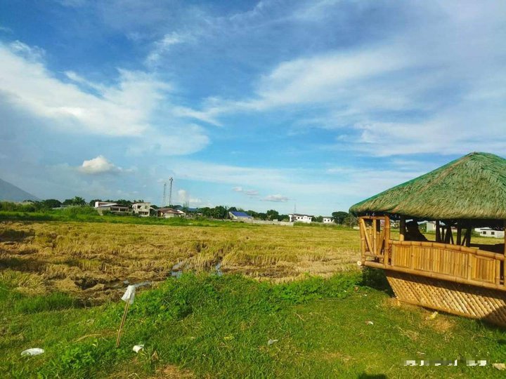 Subdivided Lot Mexico Pampanga