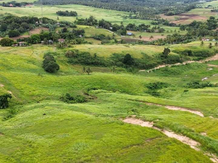 Gamit Dayun After 1 Year Residential Farm Lot in Tabogon Cebu