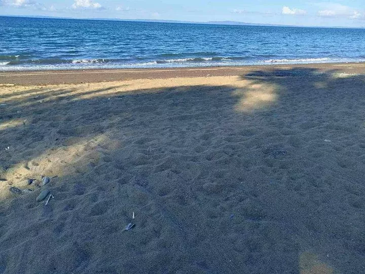 Ready For Occupancy 500 sqm Beach Property For Sale in Infanta Quezon