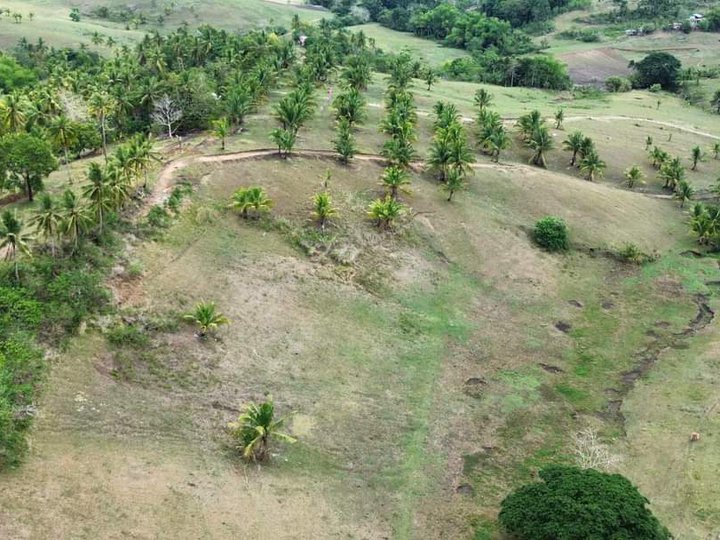 200 sqm Residential Farm For Sale in Tabogon Cebu