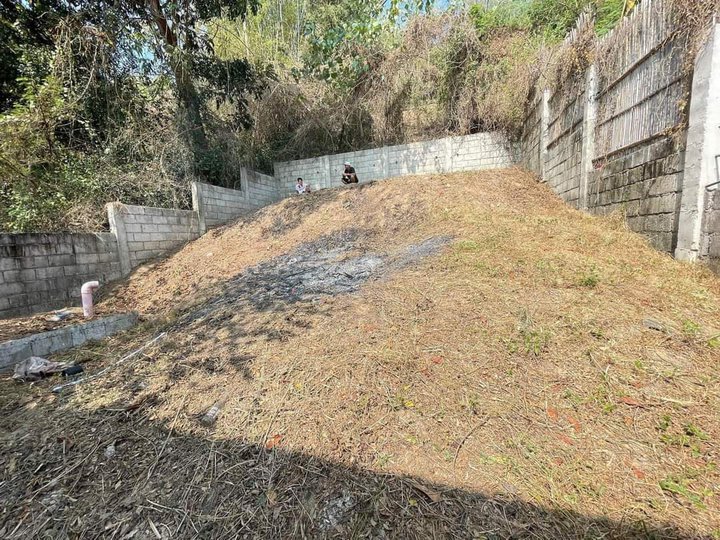 Clean Titled Overlooking Lot FOR SALE in a Flood Free Area at San Fernando City, La Union