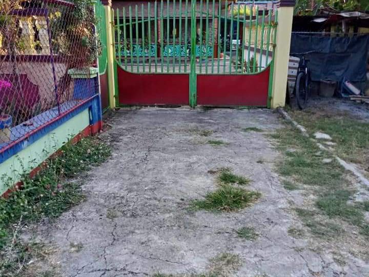 Clean Titled Two (2) Houses & Lot FOR SALE in a Flood Free Area at Alaminos City, Pangasinan