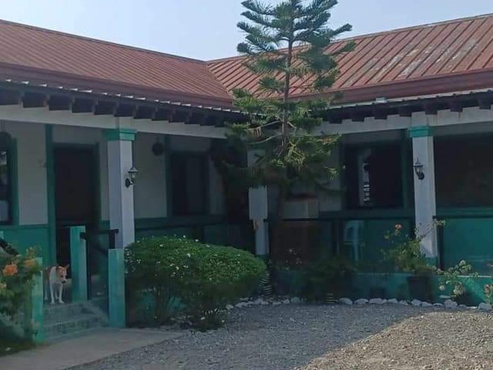 Clean Titled Fully Furnished Elegant House and Lot FOR SALE at San Juan/Lapog, Ilocos Sur