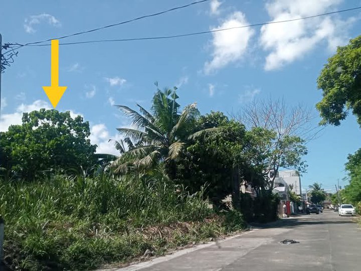 300 sqm Commercial Lot For Sale in Naga Camarines Sur