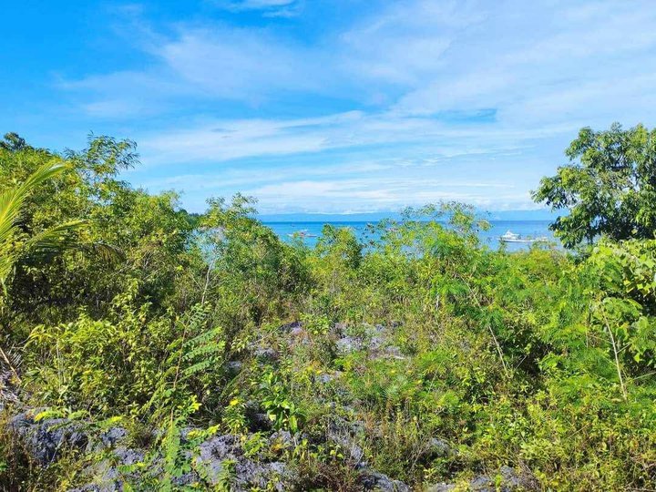 5,410 sqm Beach Property For Sale in Dauis Bohol