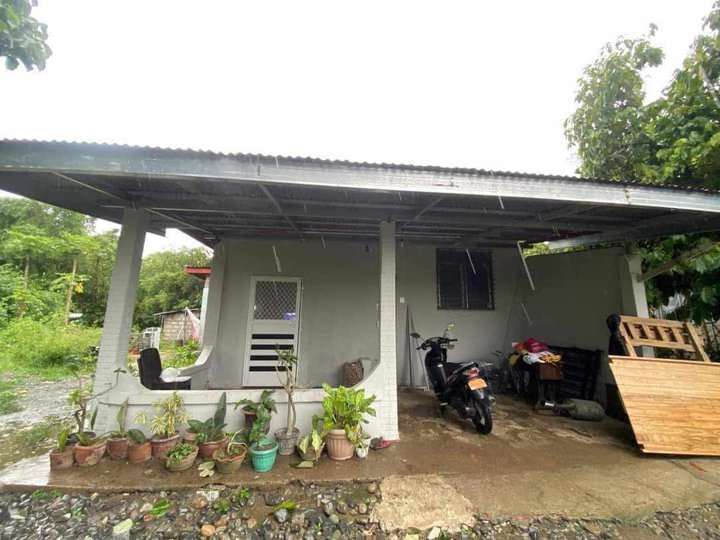 Clean Title Newly Renovated House and Lot FOR SALE along cemented Brgy Road at Rosales, Pangasinan