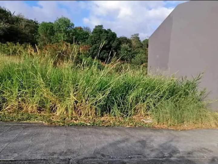 120 sqm Residential Lot for sale in Taytay Rizal inside subdivision