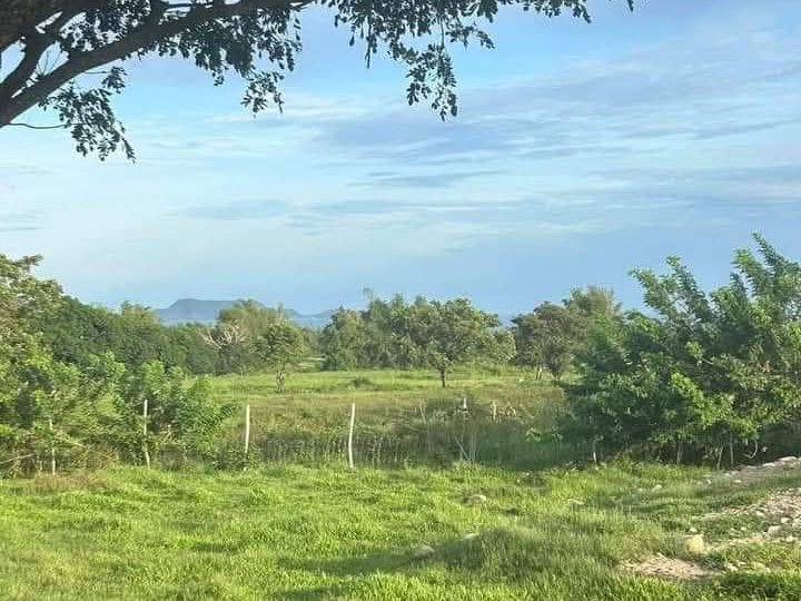 1.2 Hectare Farm Lot for Sale!!