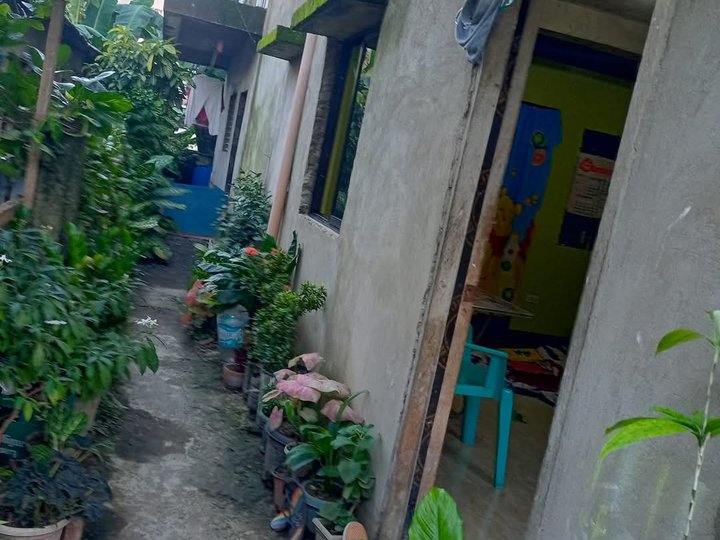 Foreclosed 2-bedroom house and lot for sale in Calbayog Samar