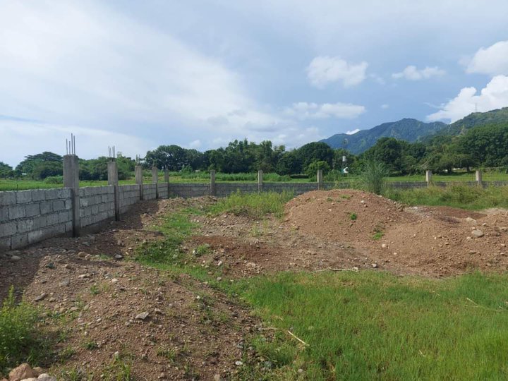 Residential Lot FOR SALE with wall and backfill in a Flood Free Area at Santa, Ilocos Sur