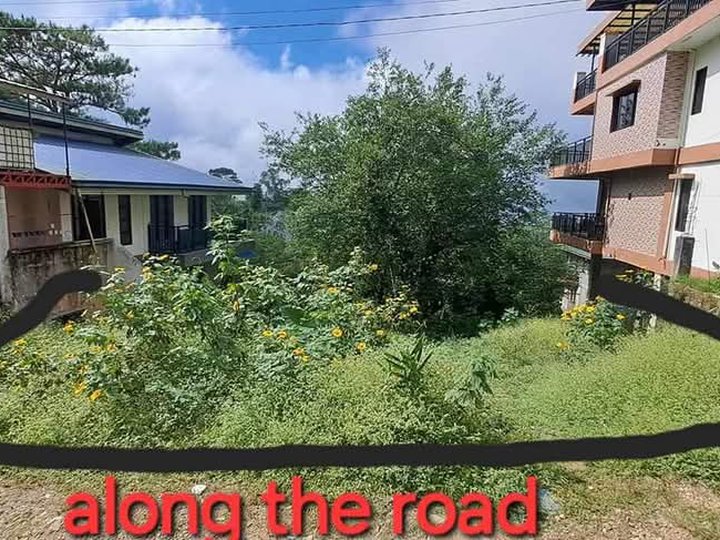 Clean Title Residential Lot FOR SALE along Barangay road at Baguio City, Benguet