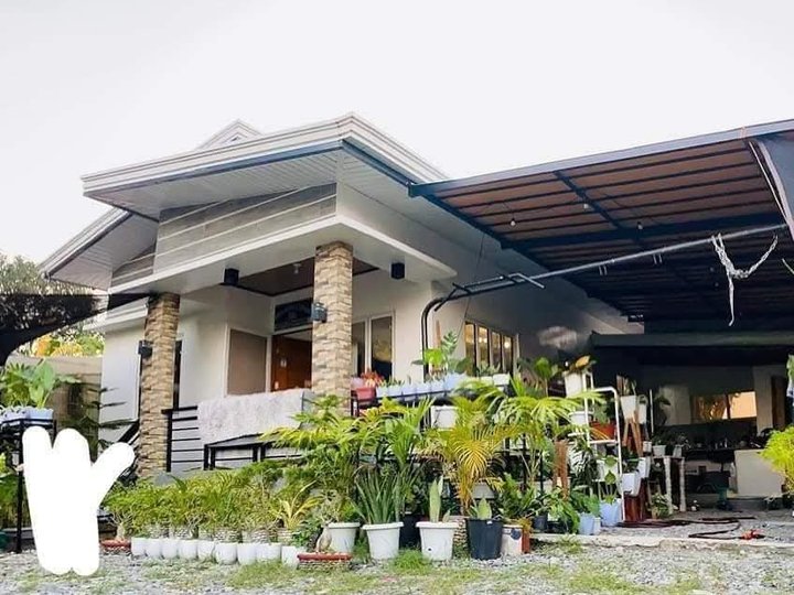 Good as new  Elevated Bungalow House and Lot FOR SALE near McArthur Highway at Bacnotan, La Union