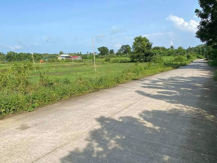 250sqm along the road Residential Farm Lot in Gaban San Lorenzo Guimaras