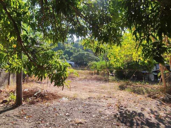 Clean Titled Beachlot with fence and gate FOR SALE along Provincial Road at Santiago, Ilocos Sur